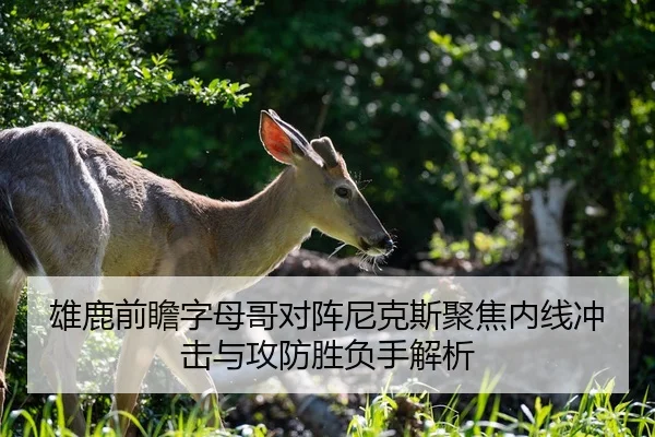 雄鹿前瞻字母哥对阵尼克斯聚焦内线冲击与攻防胜负手解析
