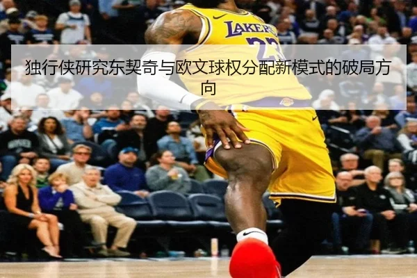 独行侠研究东契奇与欧文球权分配新模式的破局方向
